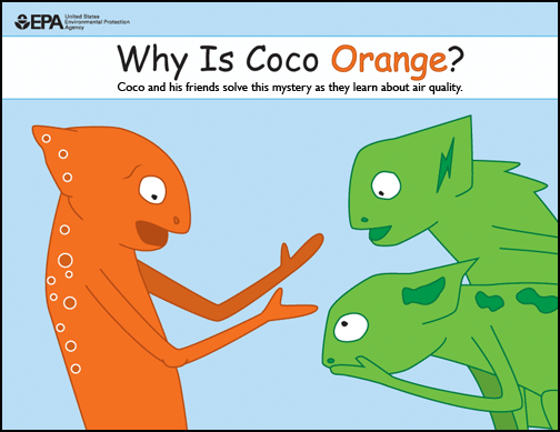 Cover of Why is Coco Orange? picture book.